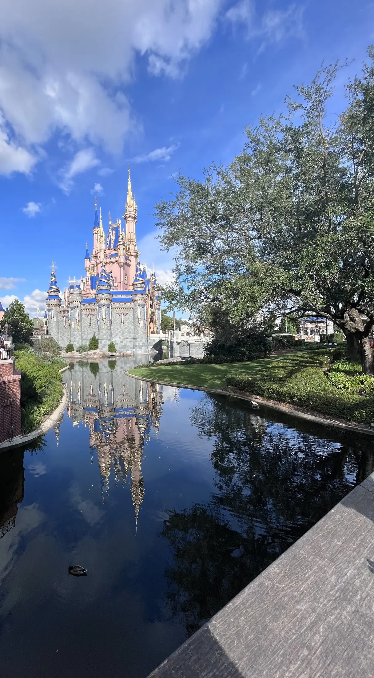 Cinderella Castle reflected in the water at Magic Kingdom