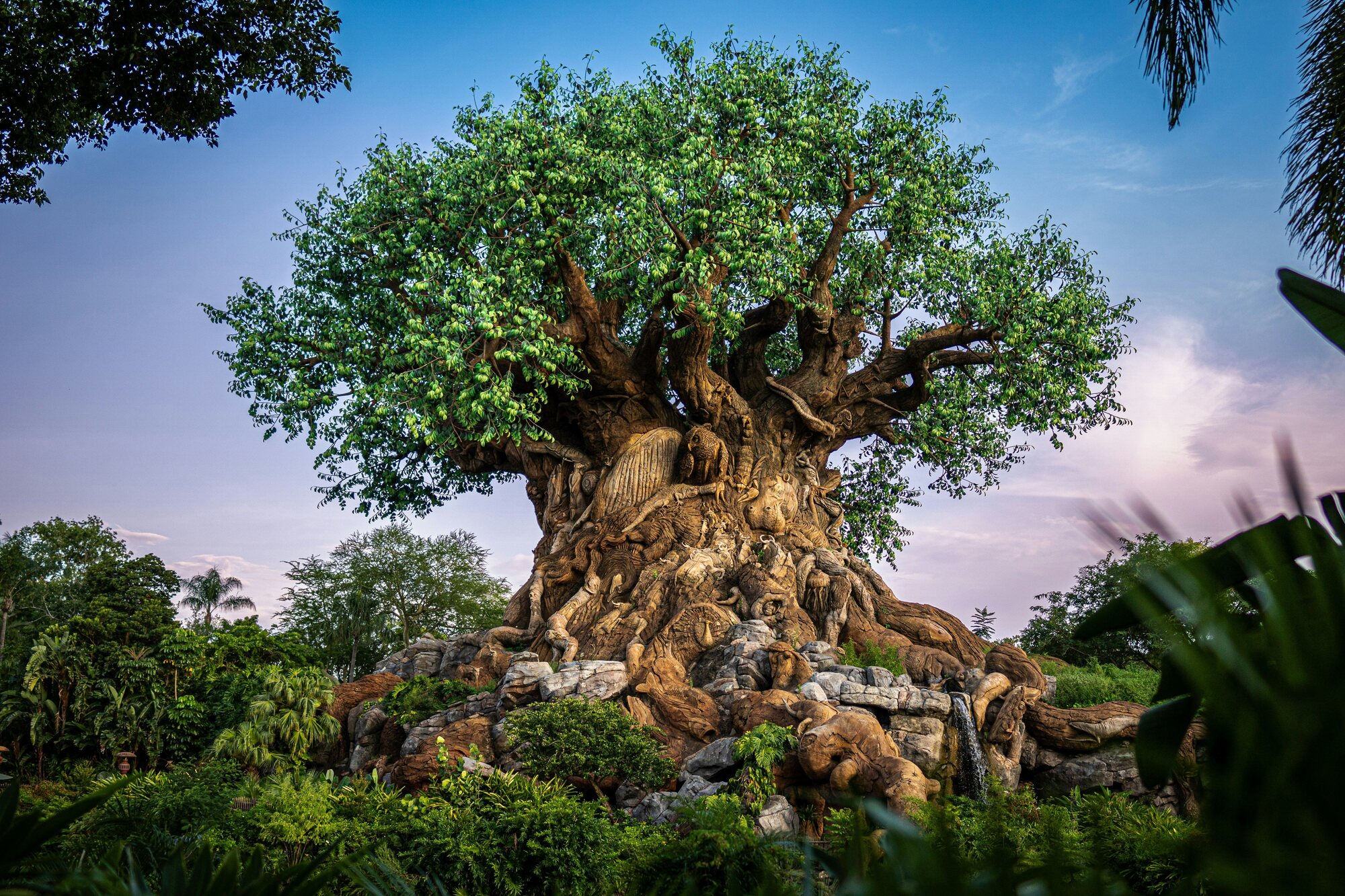A colorful landmark at the center of Disney's Animal Kingdom