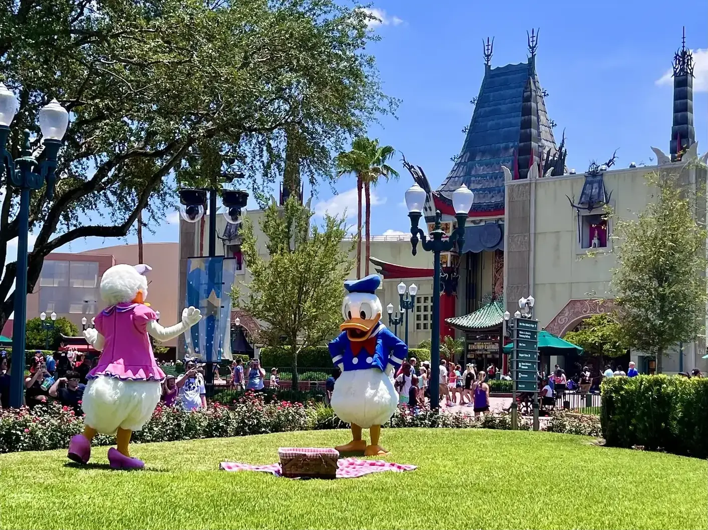 Donald Duck and Daisy Duck at a picnic setting in Hollywood Studios