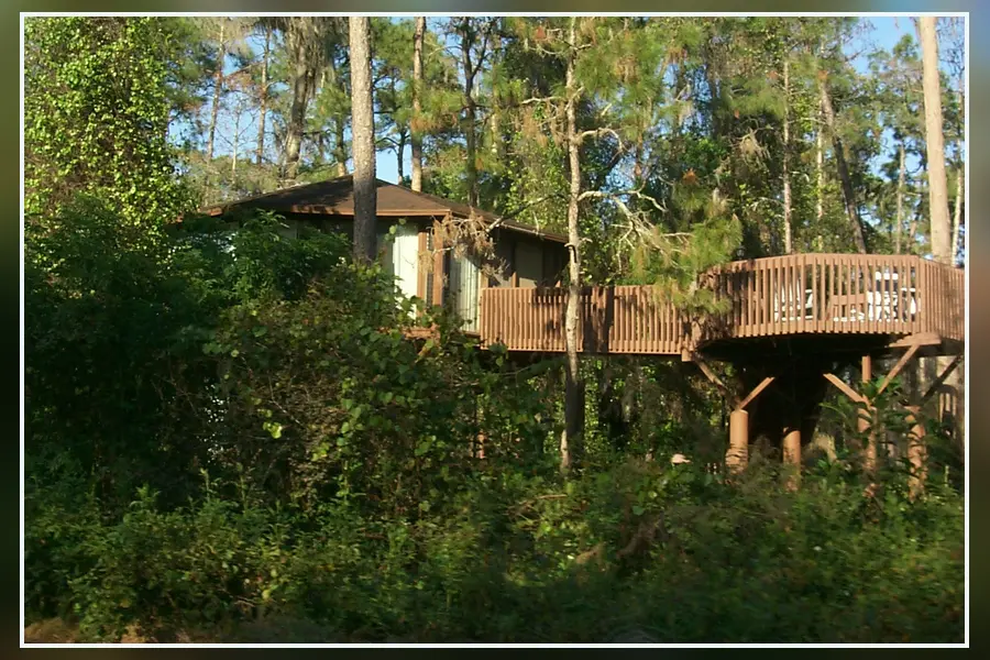 A Treehouse Villa at Disney’s Saratoga Springs Resort